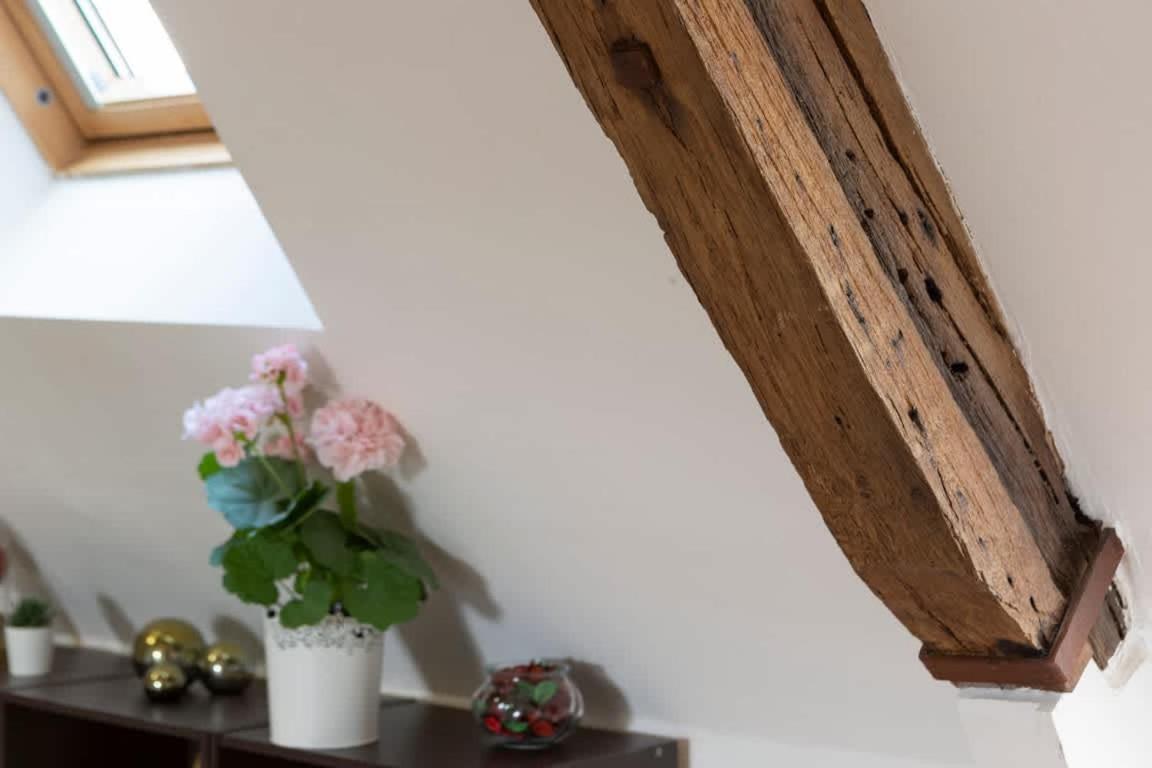 Le Ruellan Charmant Duplex Proche Plage Saint-Malo Exterior foto